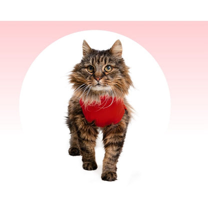 Medical Pet Shirt for Cat - Small - product image 3