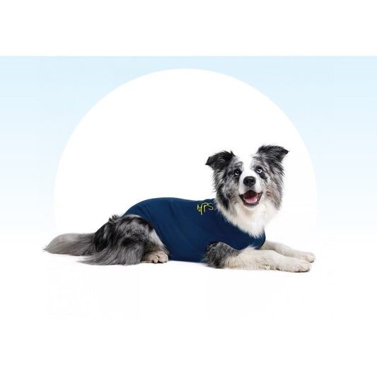 Medical Pet Shirt for Dogs (Blue) Pack of 1 Unit, Large