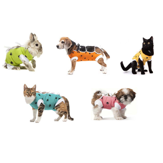 Postoperative Gown for Cats Pack of 1 Unit, Random, XS