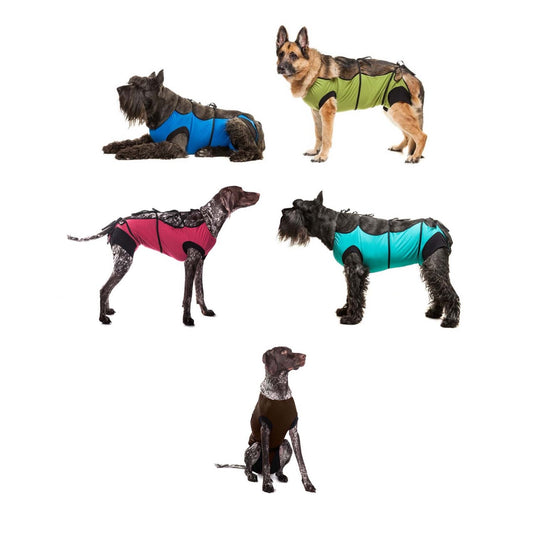 Postoperative Gown for Cats Pack of 1 Unit, Random, XXLarge