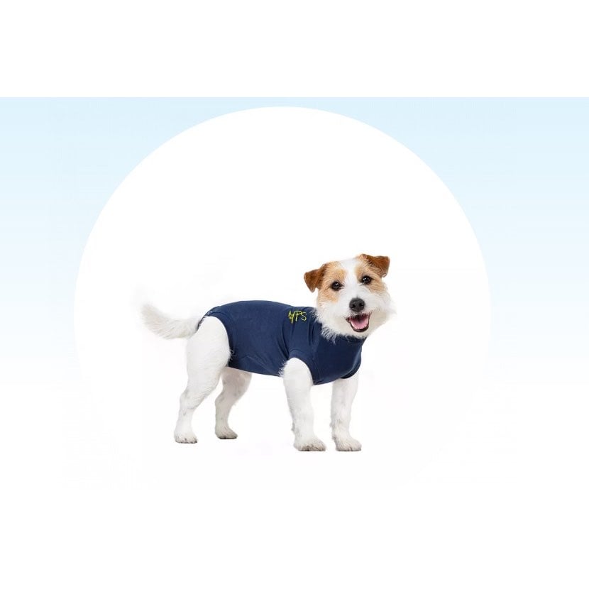 Medical Pet Shirt for Dogs (Blue) Pack of 1 Unit, XS