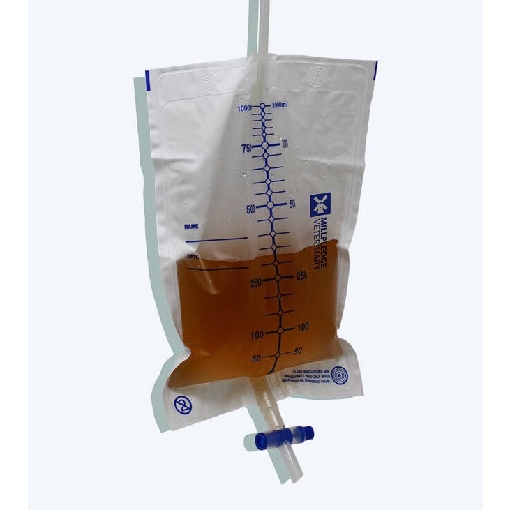 Fluid Collection Bag 2 L Bag
