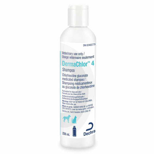 DermaChlor 4 Shampoo for Cats 236 mL Bottle 4 % W / V