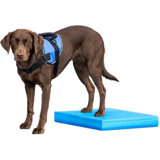 Balance Pad for Dogs (1 Pad) (15 in x 18.25 in) - additional product view 2