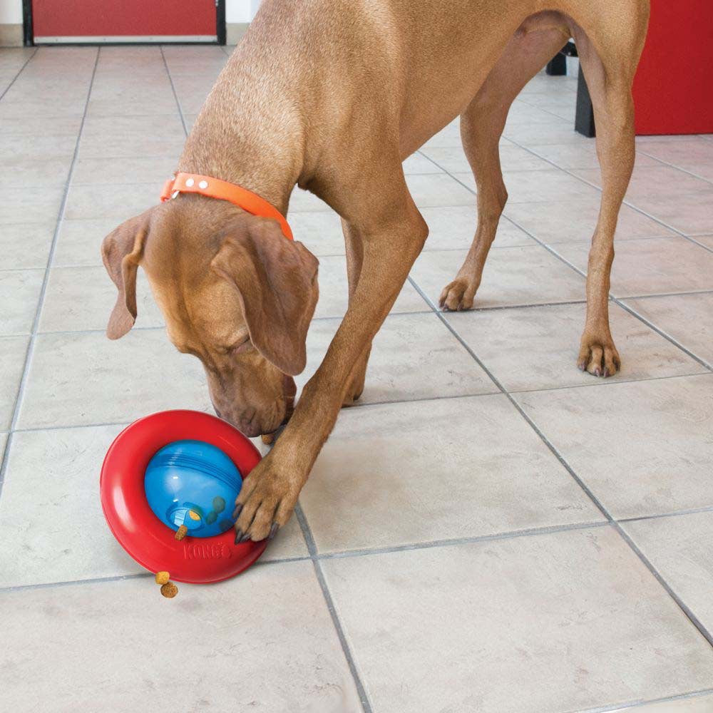 Gyro Toy for Dogs (Blue) 1 Unit, Blue and Red, Large - additional product view 3