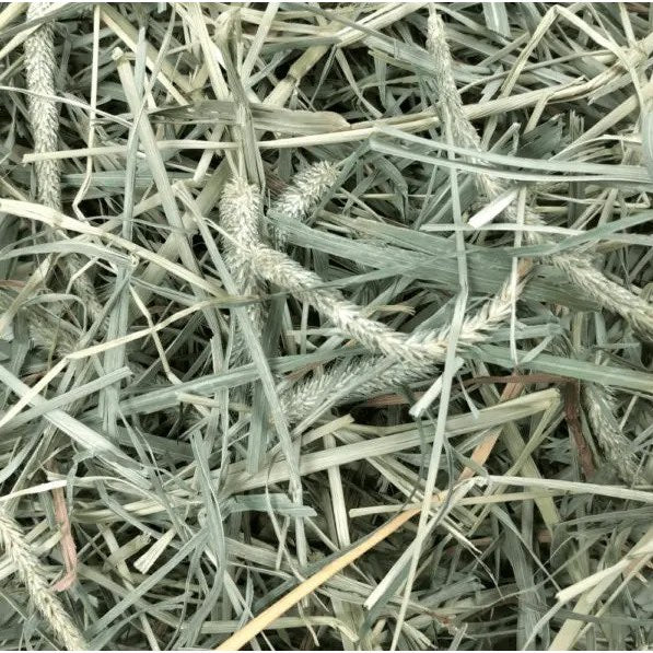 Hay Blends Western Timothy + Orchard Grass for Small Pets 0.570 kg Bag - additional product view 3