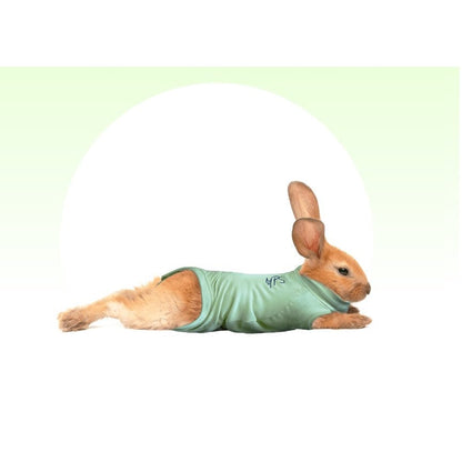 Medical Pet Shirt for Rabbit for Small Pets (Green) Pack of 1 Unit, Medium - additional product view 2