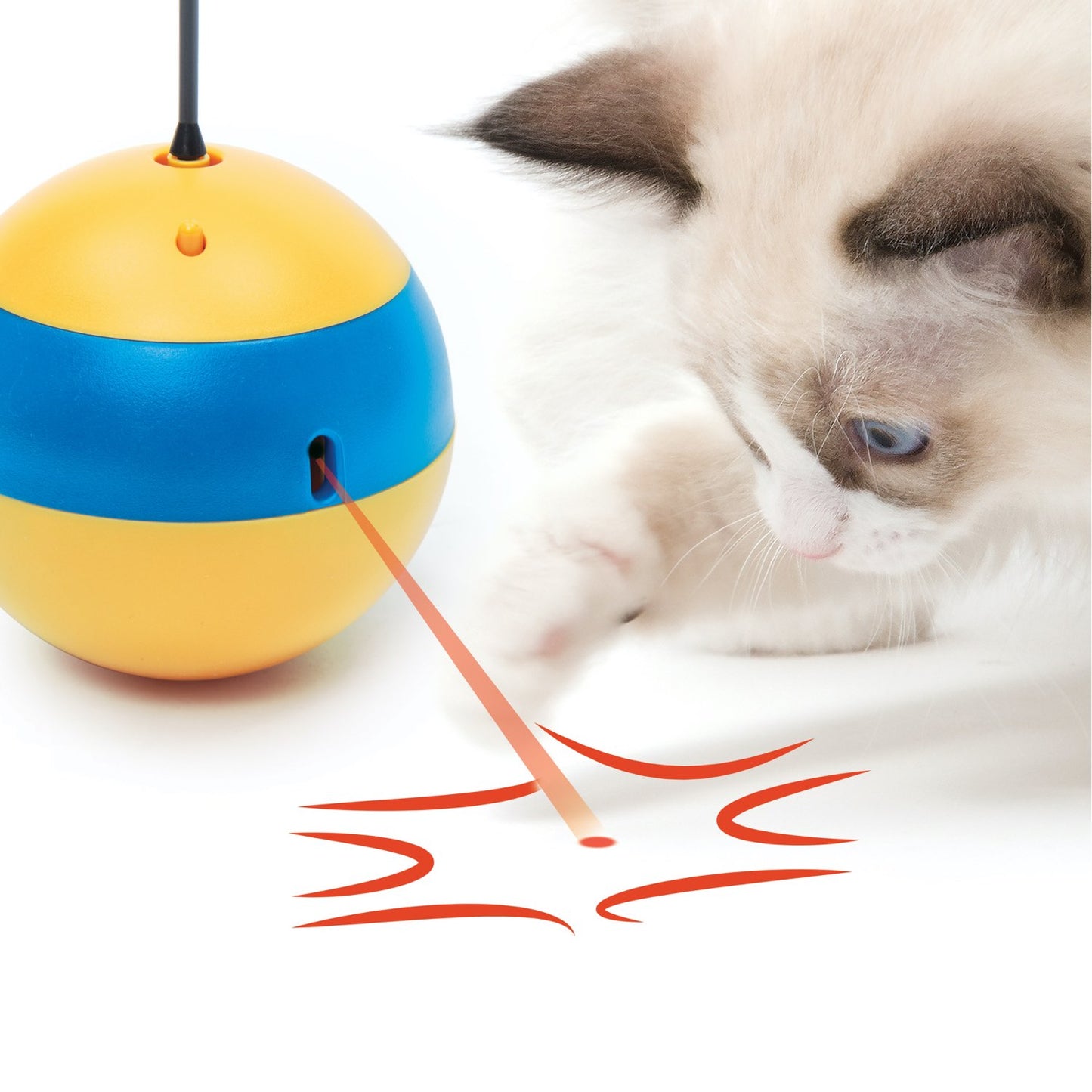 Spinning Bee for Cats 1 Unit - additional product view 3