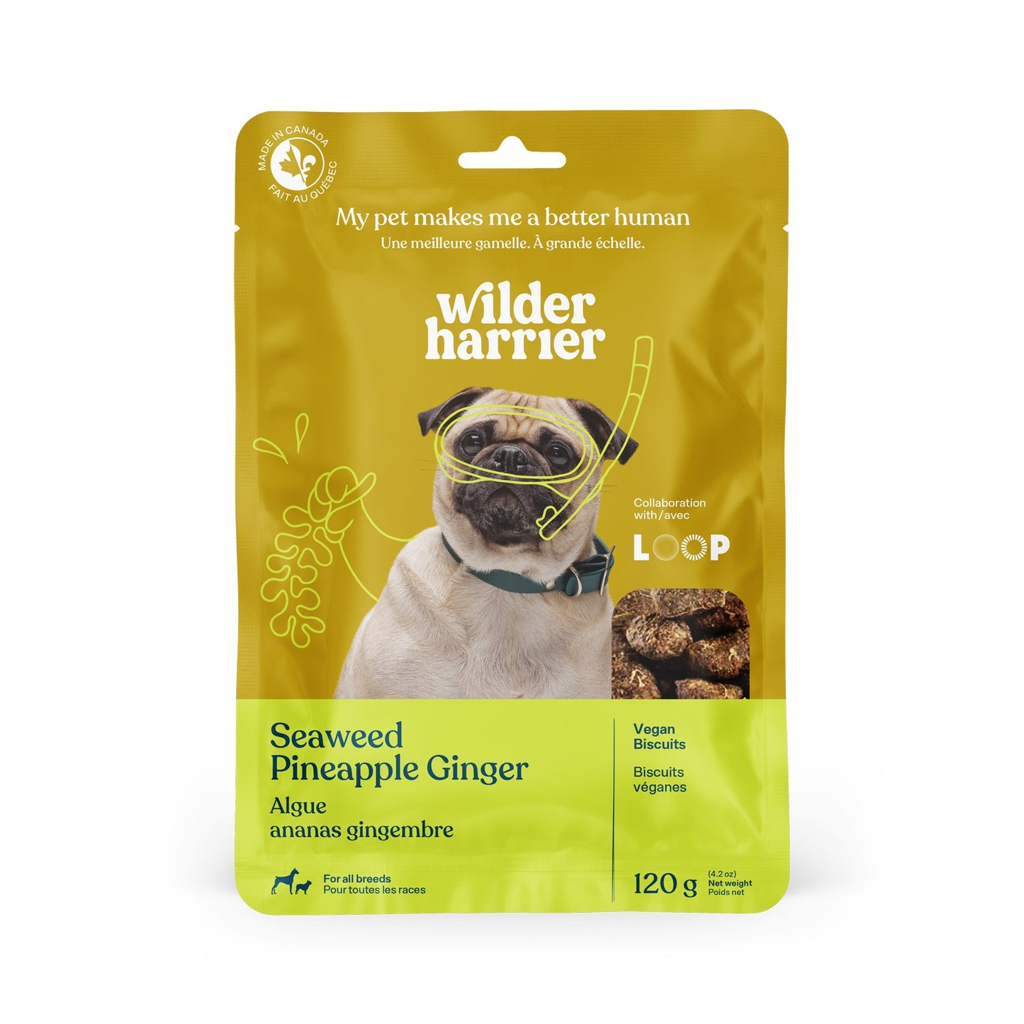 Vegan Dog Treats for Dogs (Seaweed, Pineapple and Ginger) 120 g Bag