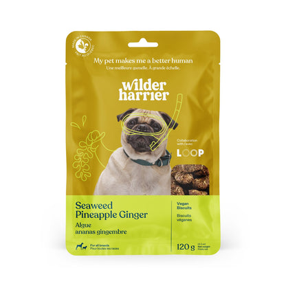 Vegan Dog Treats for Dogs (Seaweed, Pineapple and Ginger) 120 g Bag