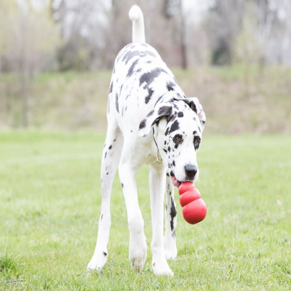 Classic Stuffing Toy for Dogs (Red) 1 Unit, XXLarge - additional product view 3