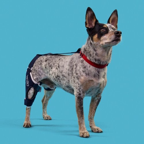 Knee Brace Balto Jump for Rear Right Leg for Dogs 1 Unit - additional product view 2