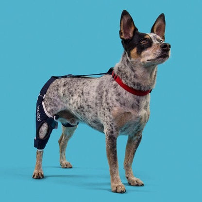 Knee Brace Balto Jump for Rear Right Leg for Dogs 1 Unit - additional product view 2