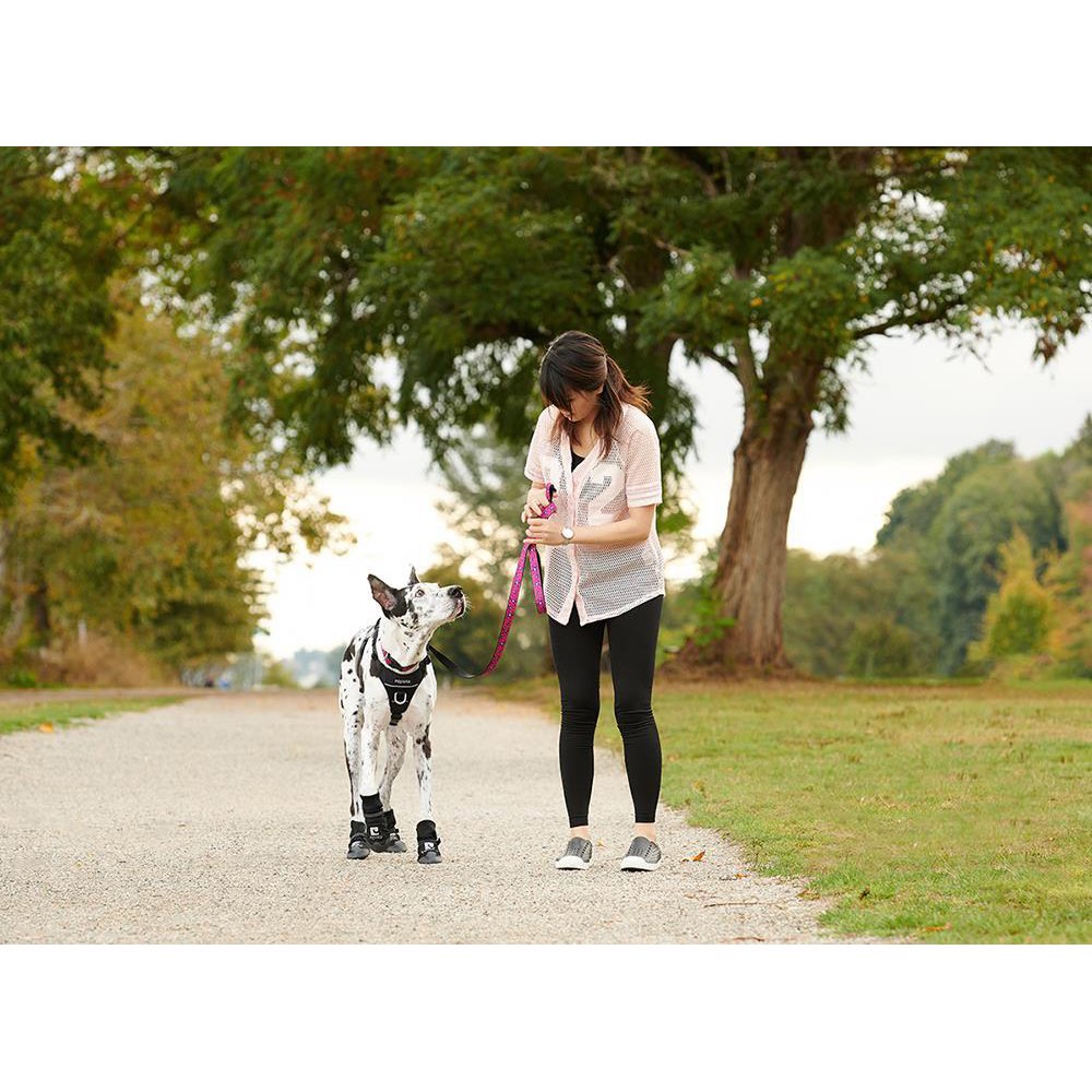 Harness Momentum Control for Dogs 1 Harness - additional product view 2