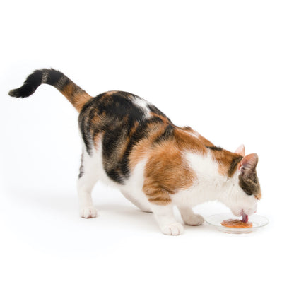 Creamy Lickable Cat Treats for Cats (Salmon) Pack of 5 - additional product view 2