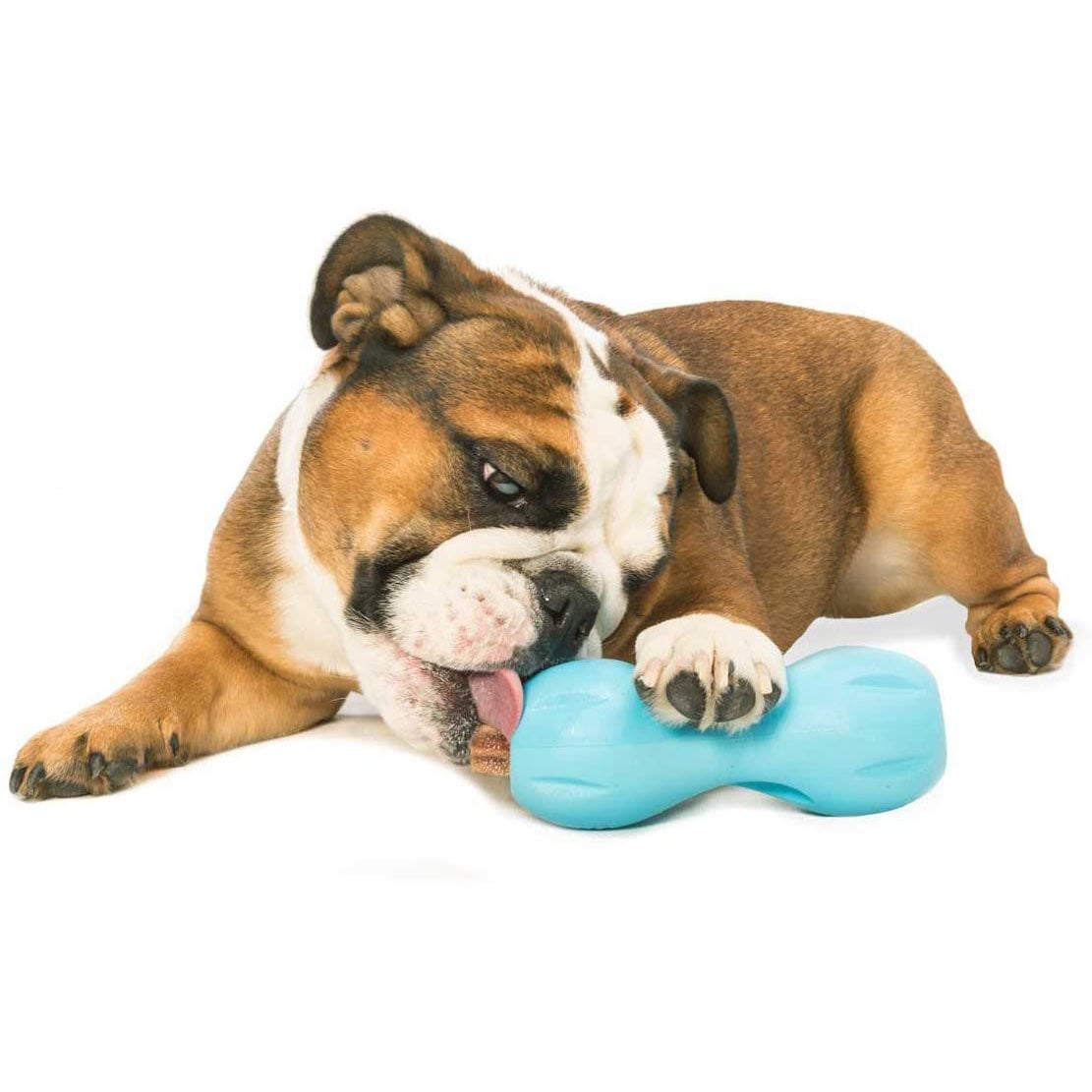 Qwizl Treat Toy for Dogs (Aqua) 1 Unit, Aqua Blue, Large - additional product view 3