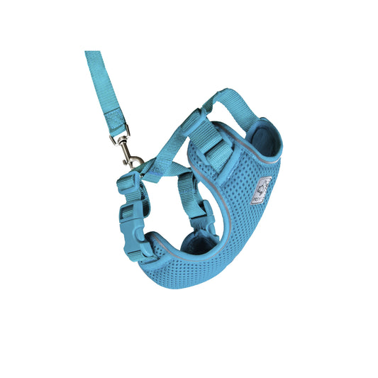 Harness Adventure for Cats (Teal) 1 Harness, Medium