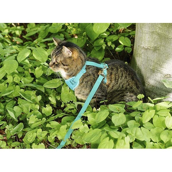 Harness Adventure for Cats (Teal) 1 Harness, Medium - additional product view 2