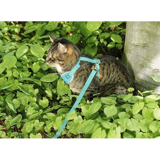 Harness Adventure for Cats (Teal) 1 Harness, Large - additional product view 2