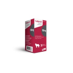 Galliprant for Dogs, 100 mg, 30 Tablets - product image 1