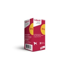 Galliprant for Dogs, 20 mg, 90 Tablets - product image 1