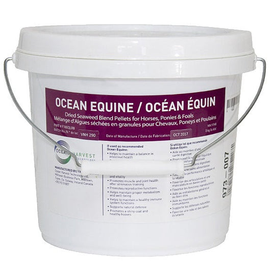 Ocean Equine for Horses 3 kg Pail