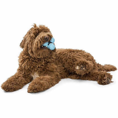 Tux Treat Toy for Dogs (Aqua) 1 Unit - additional product view 4