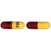 Apo - Amoxi Capsule 1 Bottle of 500 Capsules