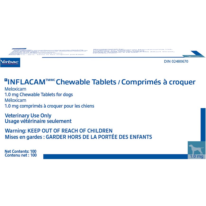 Inflacam Chewable Chewable Tablets 1 Bottle of 100 Tablets