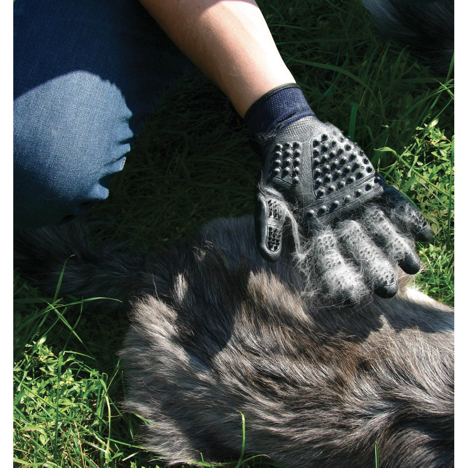 2in1 Grooming Gloves for Cats (Blue) Kit of 2 Gloves - additional product view 3
