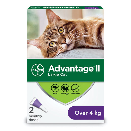 Advantage II for Cats (Purple) (Over 4 kg) Pack of 2, 0.8 mL