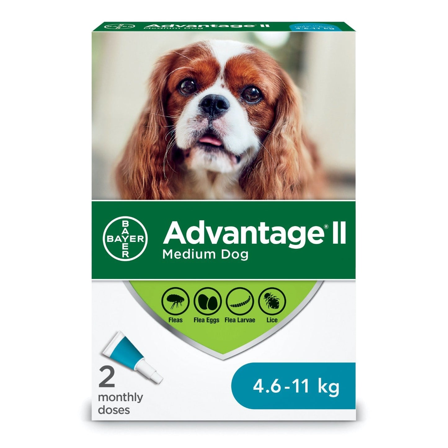 Advantage II for Dogs - 4.6-11 kg (Aqua) / Pack of 2 Tubes - product image 1