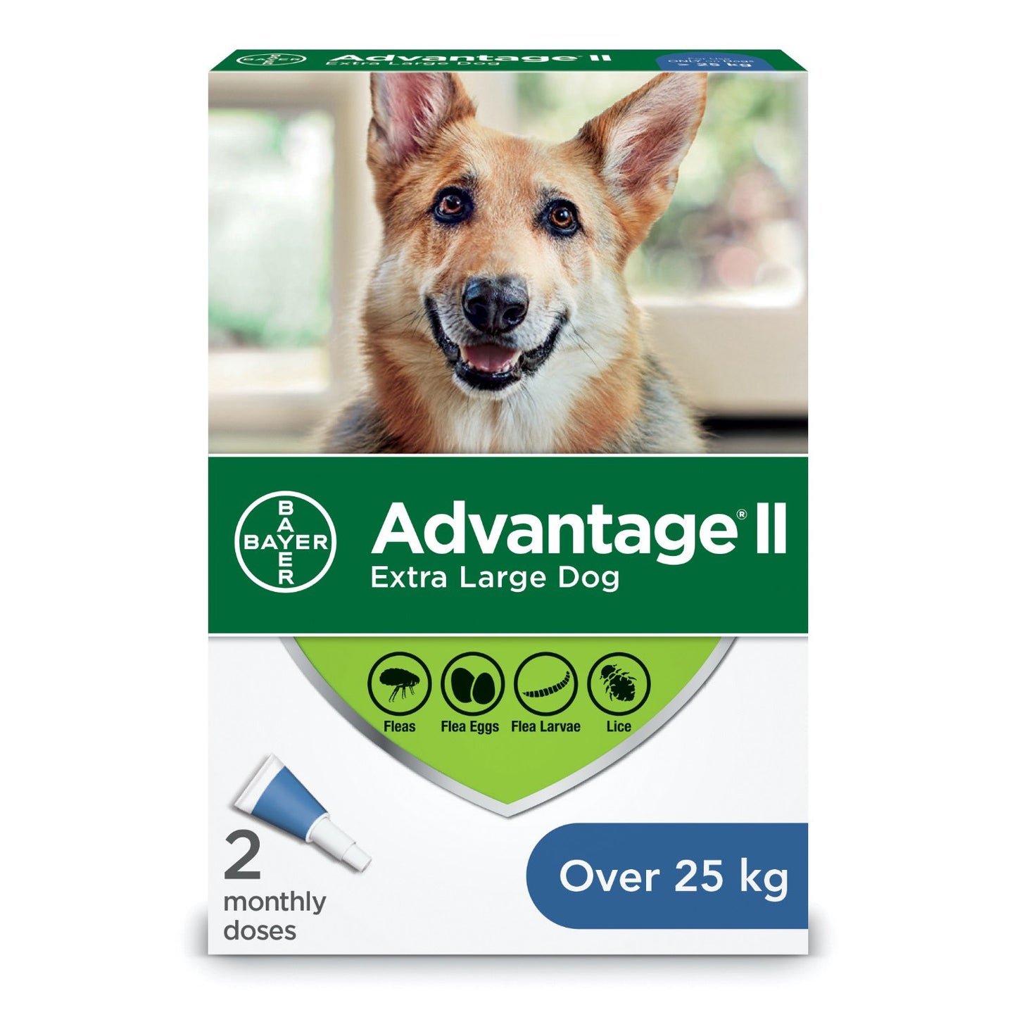 Advantage II for Dogs (Blue) (Over 25 kg) 2 Tubes