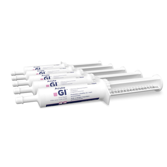 Acute GI Oral Paste (Original) 5 x 80 Cc