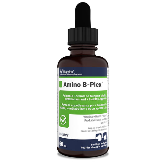 Rx Vitamins Amino B Plex for Cats and Dogs - 60 mL - product image 1