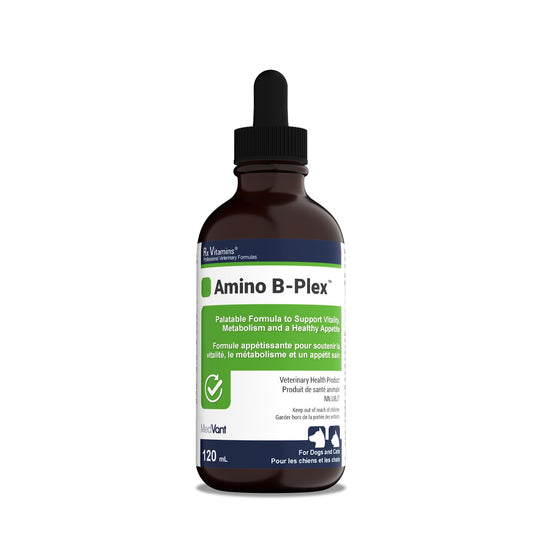 Rx Vitamins Amino B - Plex (Bacon) 120 mL Bottle