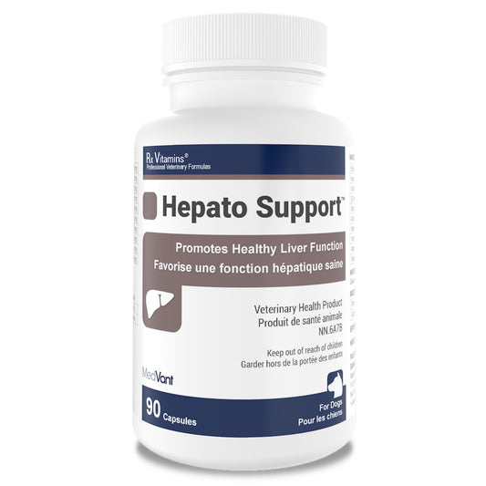 Rx Vitamins Hepato Support for Cats 90 Cap