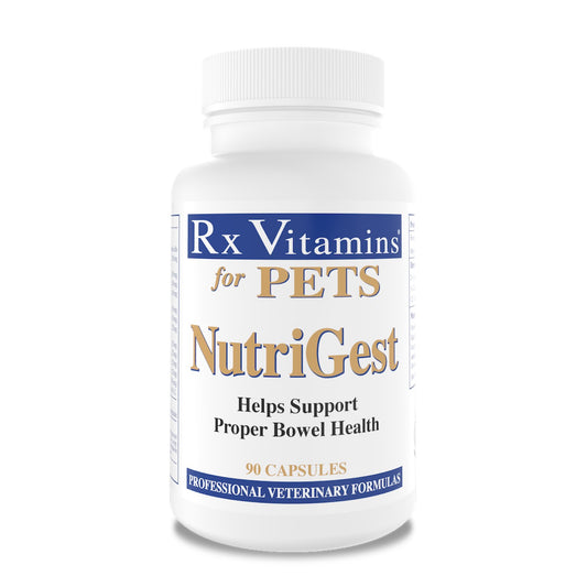 Rx Vitamins NutriGest Powder 132 g Jar