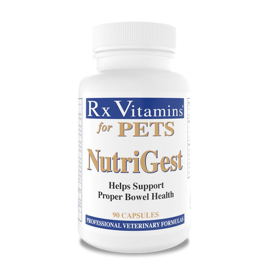 Rx Vitamins NutriGest Powder for Cats 132 g Jar