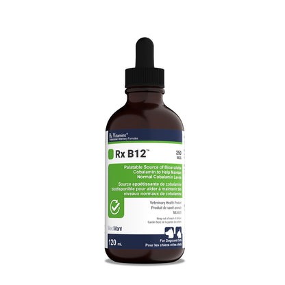 Rx Vitamins Rx B12 120 mL Original
