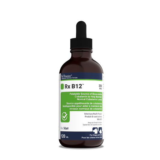 Rx Vitamins Rx B12 120 mL Original