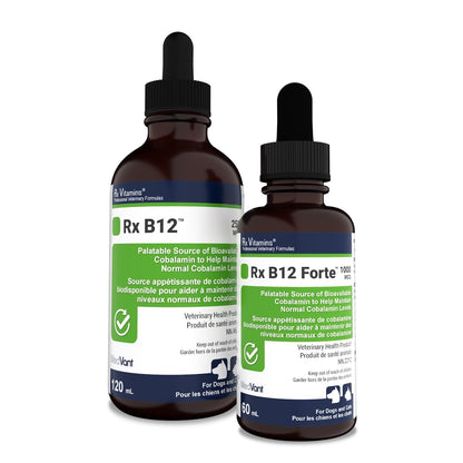 Rx Vitamins Rx B12 for Cats and Dogs - 120 mL - product image 4