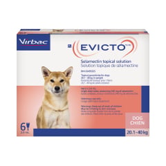 Evicto for Dog, 20.1 - 40 kg, 6 X 2 mL - product image 1