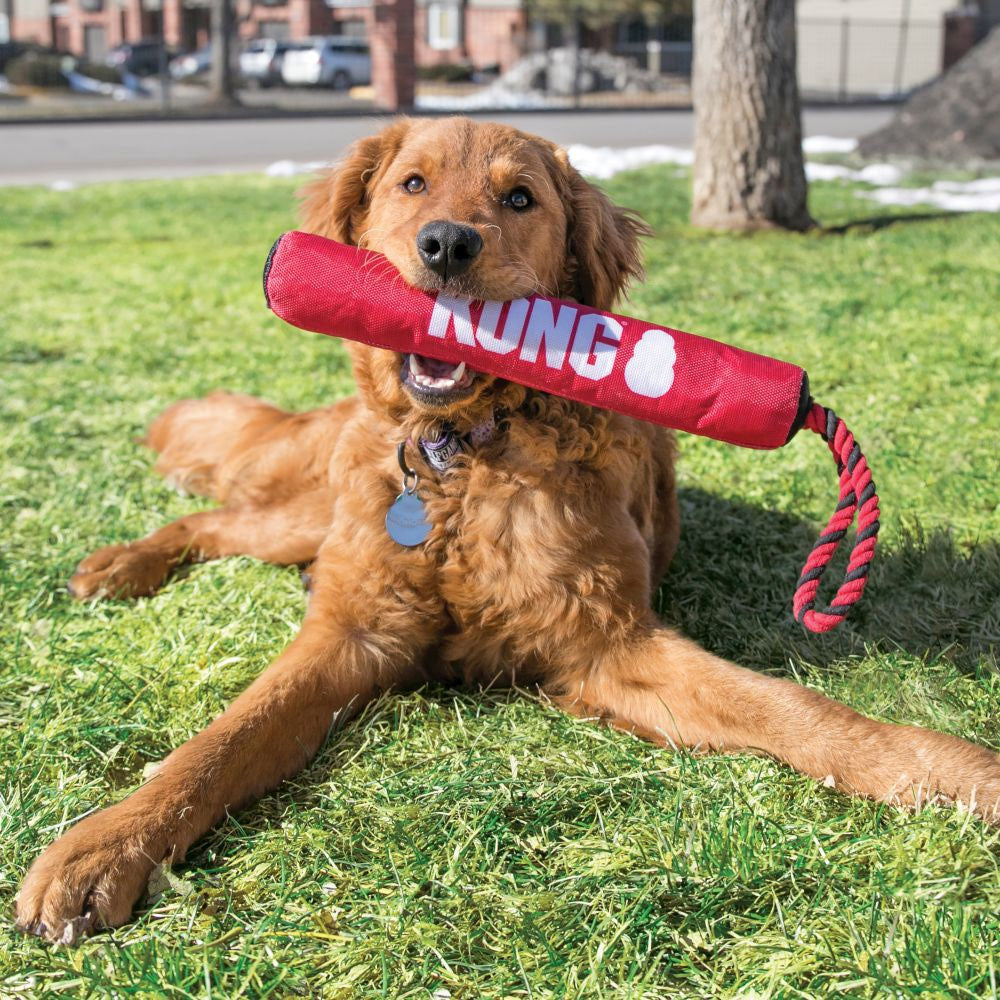 Signature Stick with Rope for Dogs 1 Unit - additional product view 2