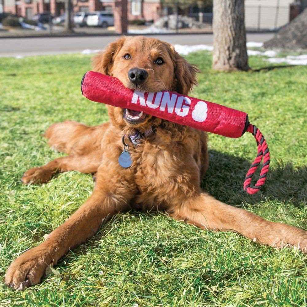 Signature Stick with Rope for Dogs 1 Unit - additional product view 3