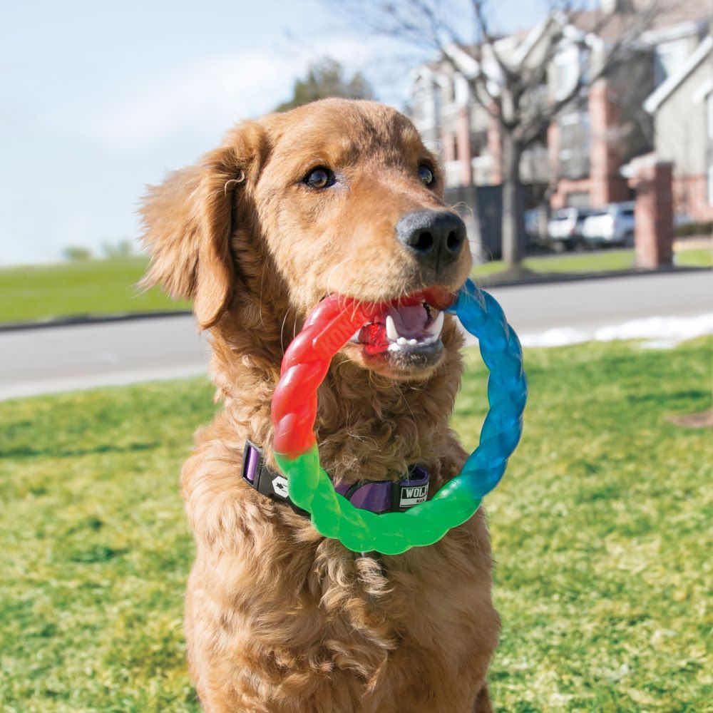 Twistz Ring for Dogs 1 Unit - additional product view 3