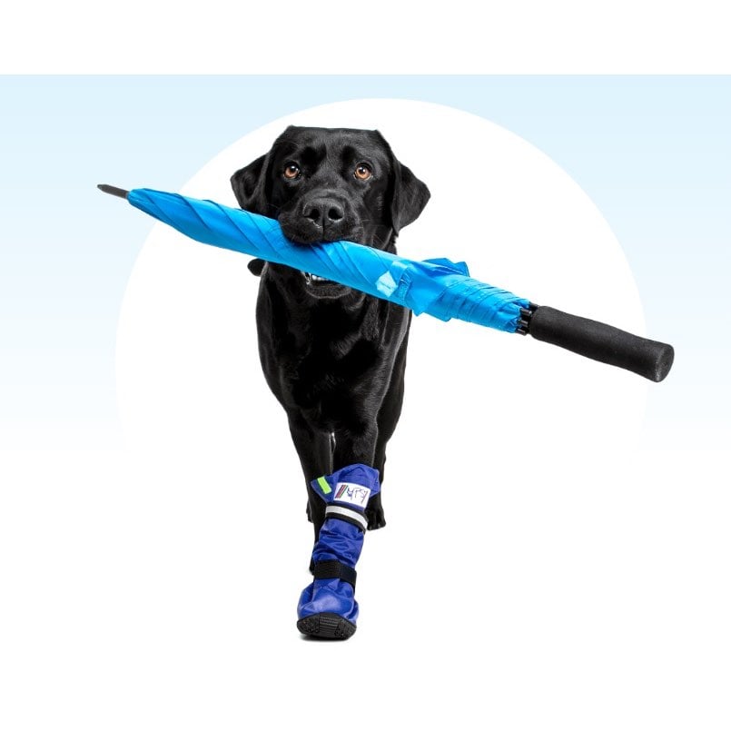 Protection Boot for Dogs (Blue) 1 Boot