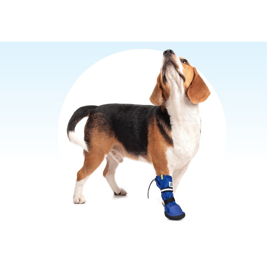 Short Protection Boot for Dogs (Blue) 1 Boot, Large