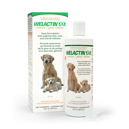 Welactin Omega 3 for Dogs 473 mL Bottle
