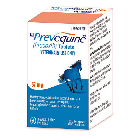 Prevequine Chewable Tablets 1 Box of 60 Tablets